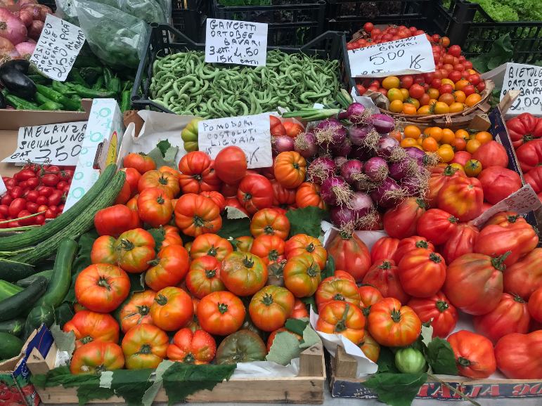 Ruokamatka Italiaan: Liguria lautasella eli ruokaa Italian Rivieralta -  Kirja ja keittiö